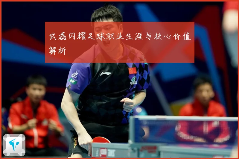 武磊闪耀足球职业生涯与核心价值解析