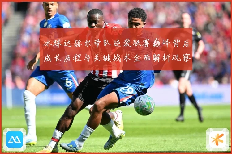 冰球达赫尔带队逆袭联赛巅峰背后成长历程与关键战术全面解析观察记